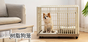 ��֬����