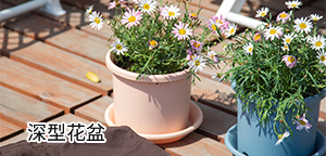 ���ͻ���