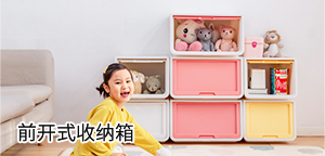 ǰ��ʽ������