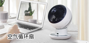 ����ѭ����